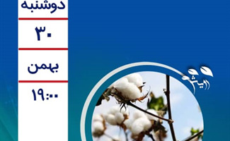 استانداردهای کیفی الیاف پنبه
